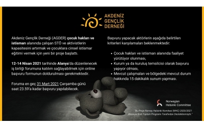 Çocuk Hakları Alanında Çalışan Kurum ve Kuruluşlar için İş Birliği Forumu